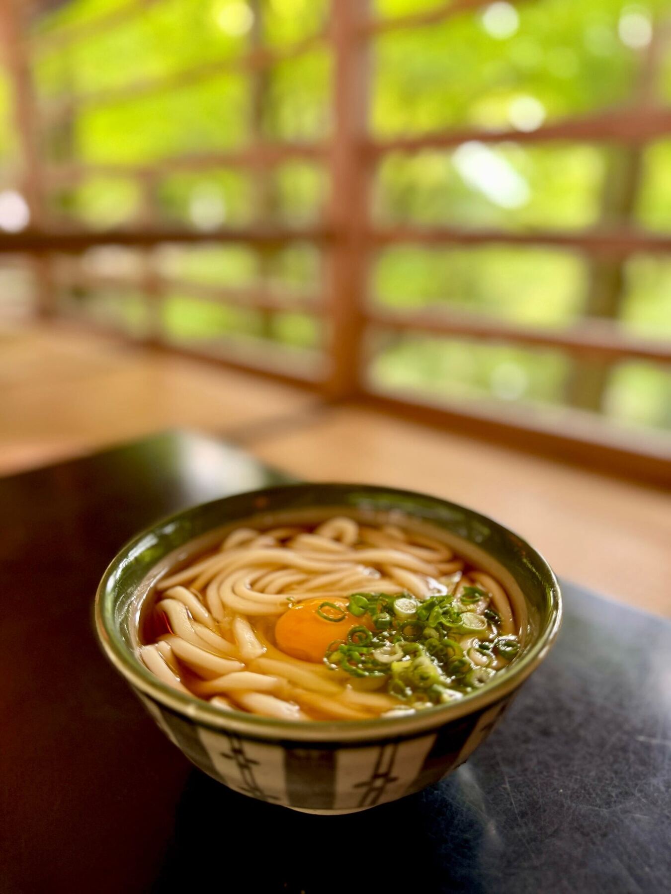A bowl of udon noodles with egg and scallions beside a garden window